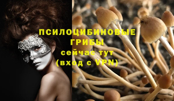 мет Зеленодольск