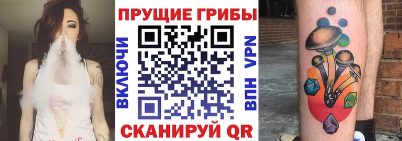 Псилоцибиновые грибы мицелий  Купить закладки  Светлогорск 